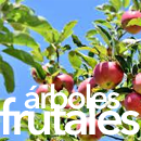 Venta de árboles frutales en Bilbao, Bizkaia, Reinosa, Cantabria, Palencia y Burgos