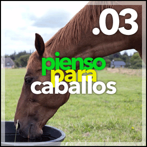 Pienso para caballos. Alimentación para caballos.