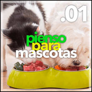 Pienso para mascotas y animales de compañía. Perros, gatos, aves exóticas, periquitos, loros, canarios, hamster en Sámano, Castro, Cantabria