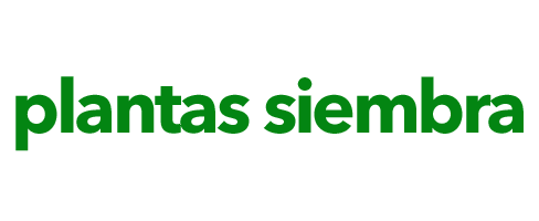 Plantas de siembra para la huerta. Plantones de temporada para la horticultura. Huertos urbanos. Cantabria y Bizkaia. Ayudas técnicas, plantas, abonos, fitosanitarios y todo tipo de herramientas y utensilios para el huerto urbano en Bilbao, Bizkaia y Cantabria. Plantas de siembra para la huerta. Plantones de temporada para la horticultura. Huertos urbanos. Cantabria y Bizkaia. Ayudas técnicas, plantas, abonos, fitosanitarios y todo tipo de herramientas y utensilios para el huerto urbano en Bilbao, Bizkaia y Cantabria.