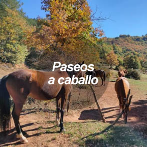 Rutas a caballo