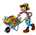 Plantas para la siembra de hortalizas y verduras en la  huerta, plantas y semillas para la agricultura, siembra en la huerta y jardineria en Medina de Pomar, Puentedey, Villarcayo, Las Merindades, Burgos